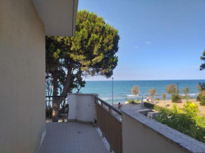 Room in BB - Quadruple room a stones throw from the sea - Ideal for a relaxing holiday Pineto